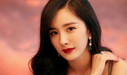 娱乐爆料张淼怡是谁,张淼怡，她是谁？揭秘这位神秘新星背后的故事